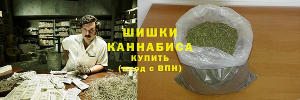 ECSTASY Белокуриха