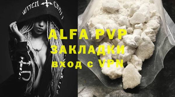 ECSTASY Белокуриха