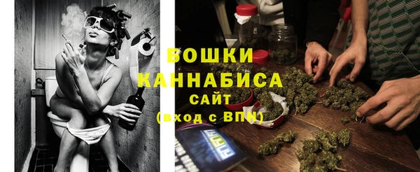 PSILOCYBIN Беломорск