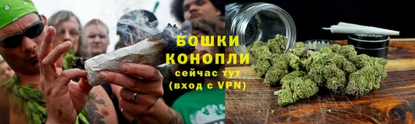 ECSTASY Белокуриха