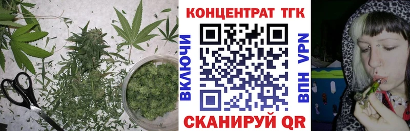 ТГК концентрат Кстово