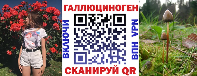 Псилоцибиновые грибы мицелий  Кстово 